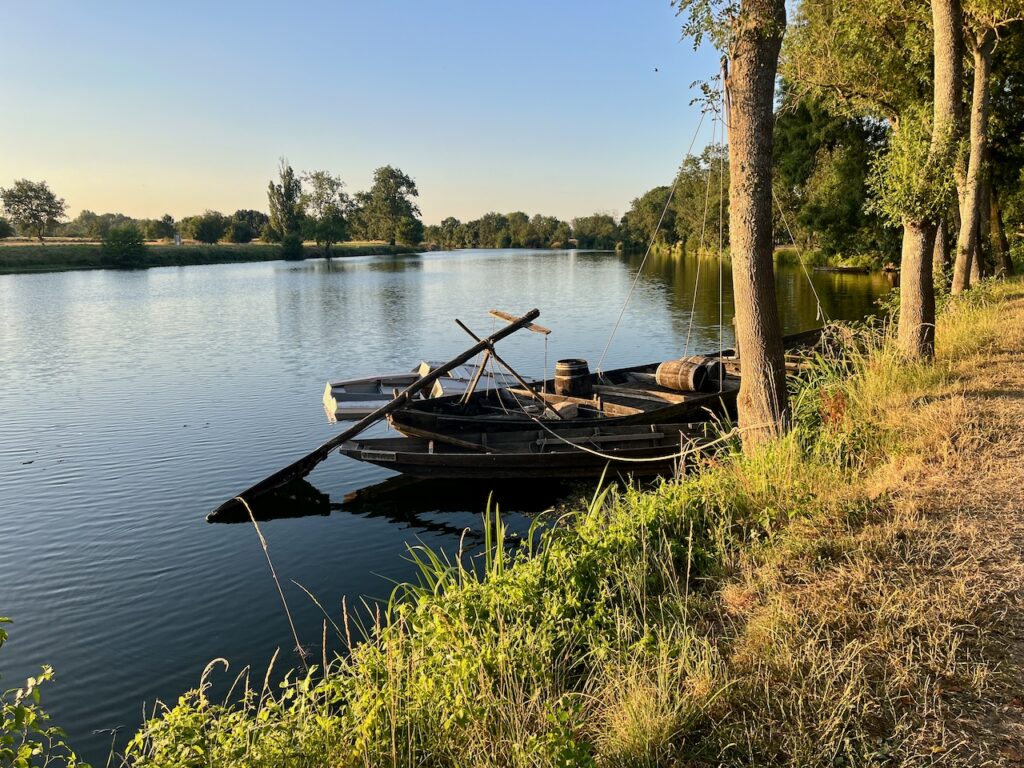 Plate de Loire à Savonnières