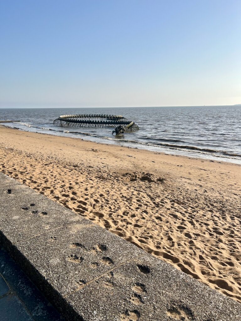 Serpent de mer Saint-Brévin-les-pins